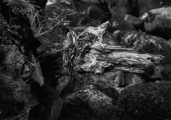 A black and white photograph by Simon Blackbourn taken on Dartmoor, featured in the 'Flow' zine published by The Dartmoor Collective